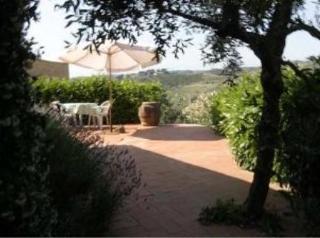 Agriturismo Bio Fattoria Bacio Certaldo Exterior photo